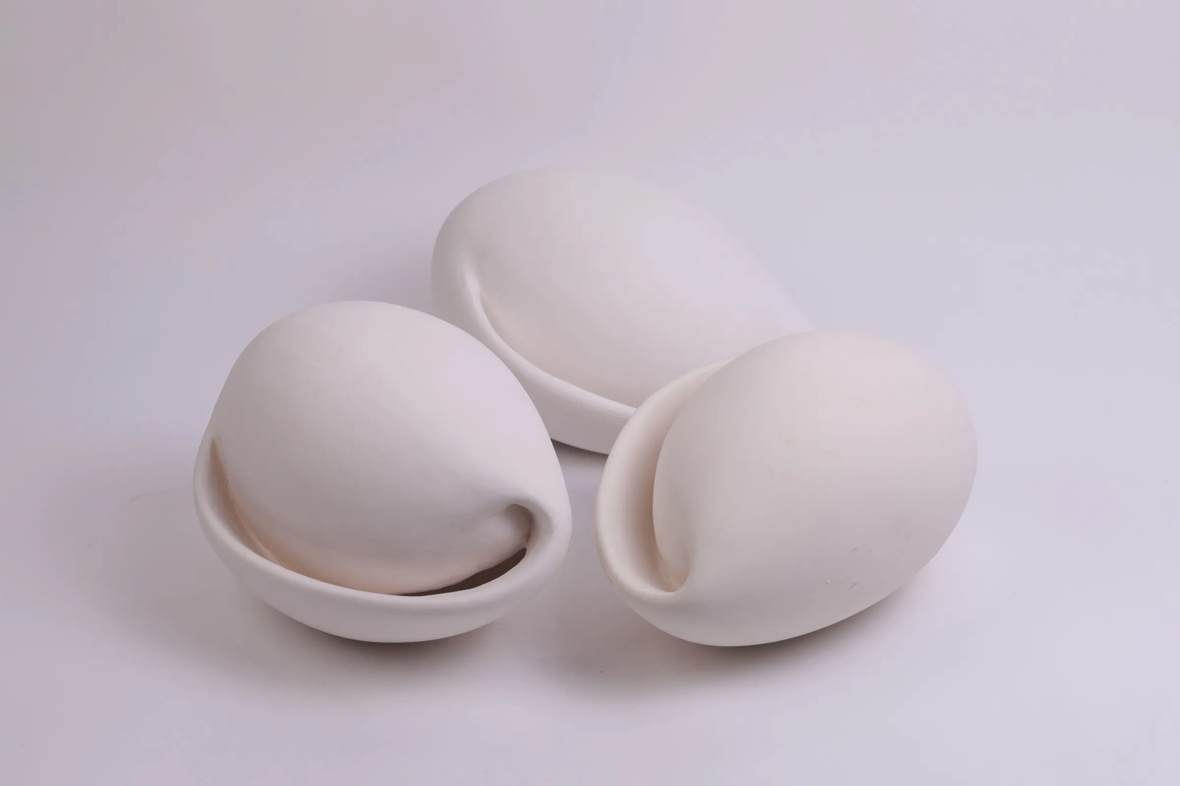 קונכייה, ביצה — Shell, Egg