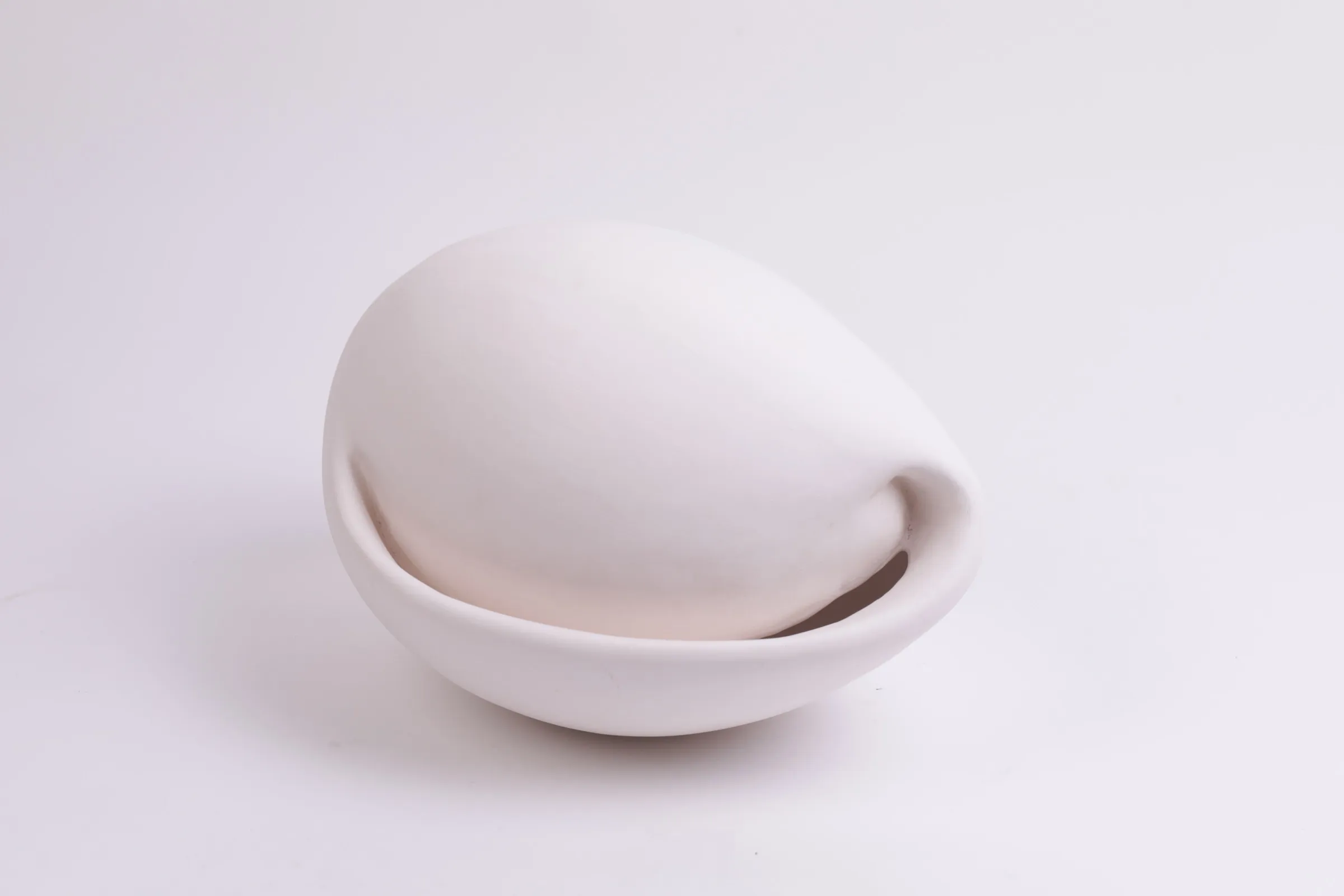 קונכייה, ביצה — Shell, Egg